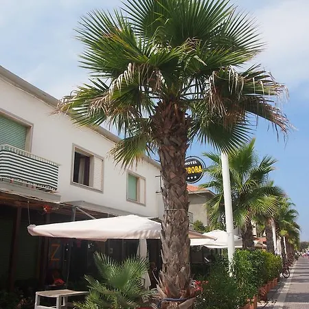 Aurora Marina di Cecina