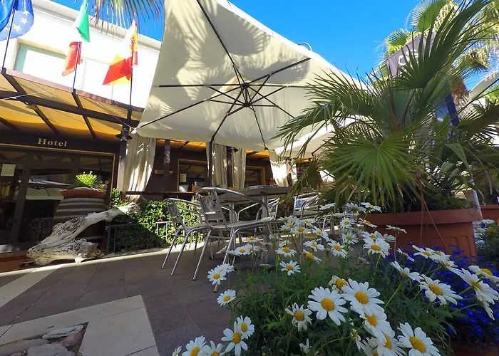 Aurora 切齐纳的码头